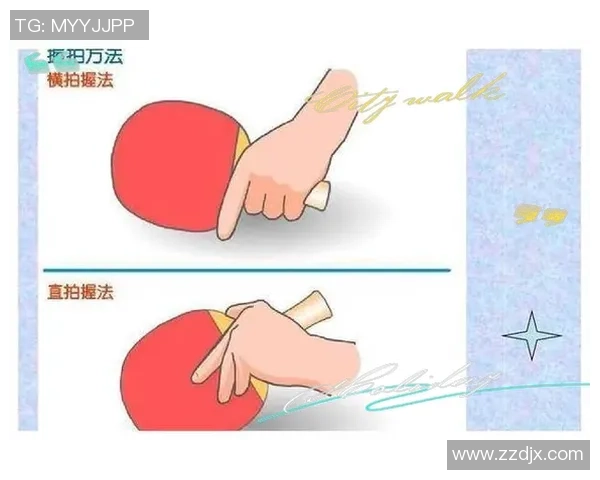 从零开始：乒乓球实力完全攻略