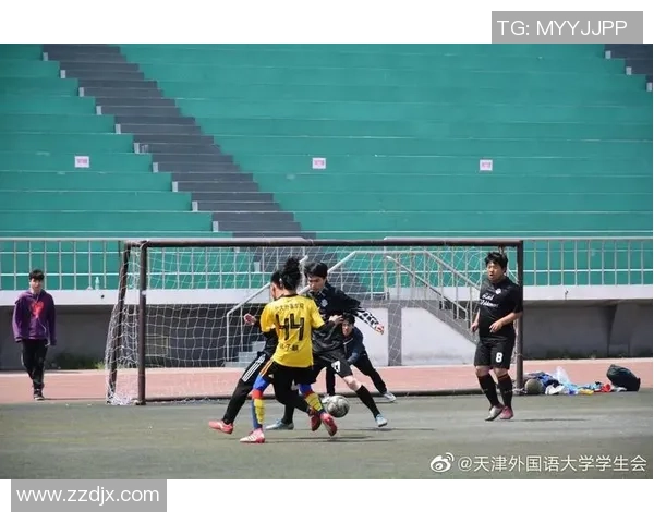 排球深度:解密深圳排球队的阵地战 排球深度:解密深圳排球队的阵地战