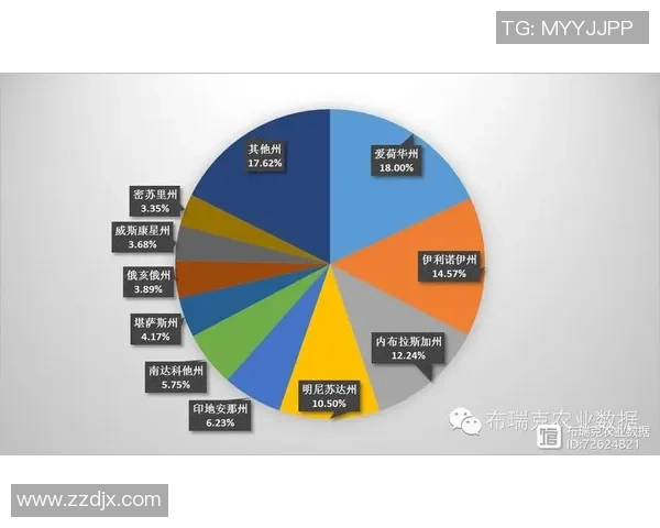 独家分析:深圳排球队的个人能力对比