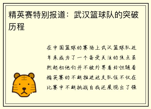 精英赛特别报道：武汉篮球队的突破历程